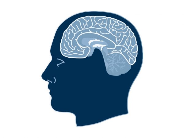 e-learning omgaan met hersenletsel